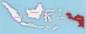 Landkaart van Indonesië en Papua Nieuw Guinea